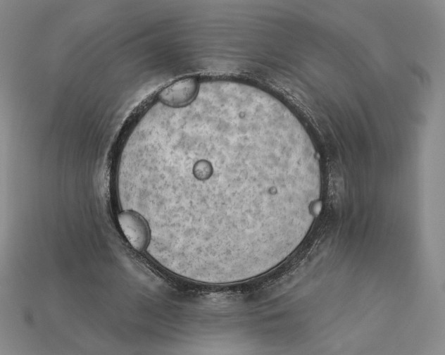 X0000115250584200911131726