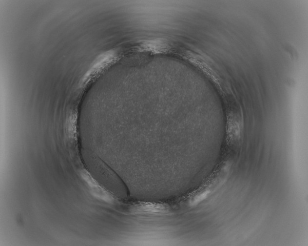 X0000115250585200911131726