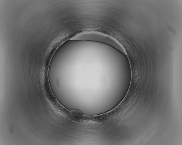 X0000115250586200911131726