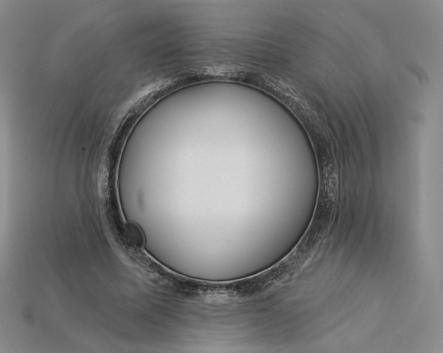 X0000115250587200911131726