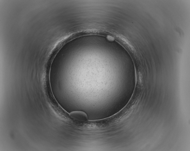 X0000115250588200911131726