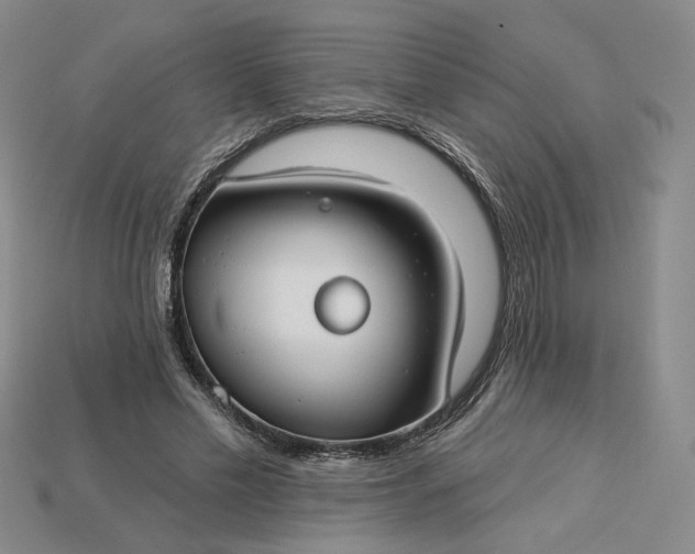 X0000115250589200911131726