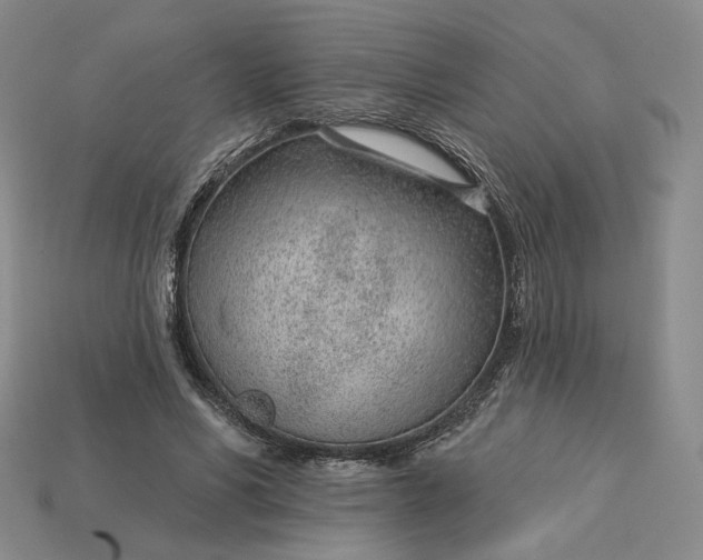 X0000115250590200911131726