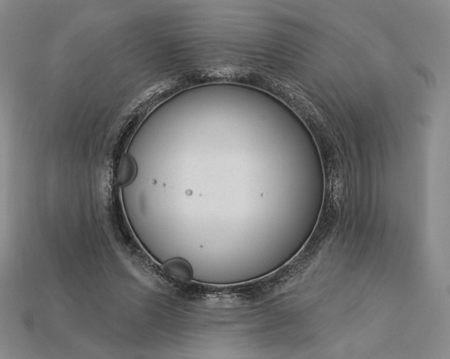 X0000115250591200911131726