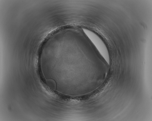 X0000115250592200911131726