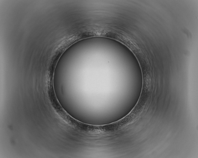 X0000115250594200911131726