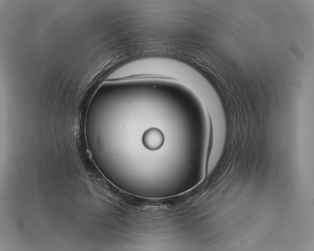 X0000115250595200911131726