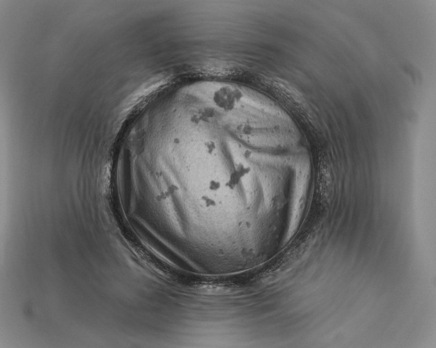 X0000115250596200911131726