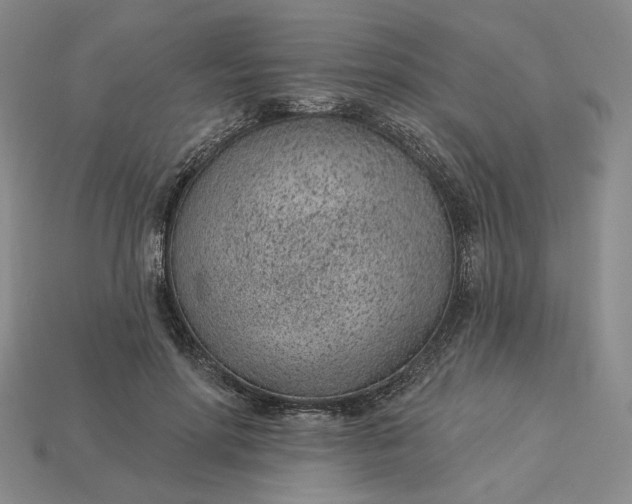 X0000115250598200911131726