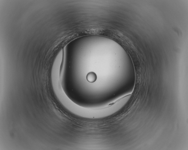 X0000115250599200911131726