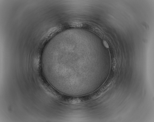 X0000115250600200911131726