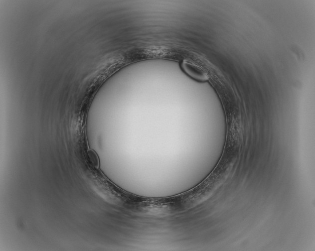 X0000115250601200911131726