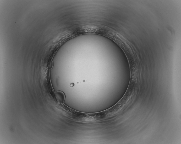 X0000115250604200911131726