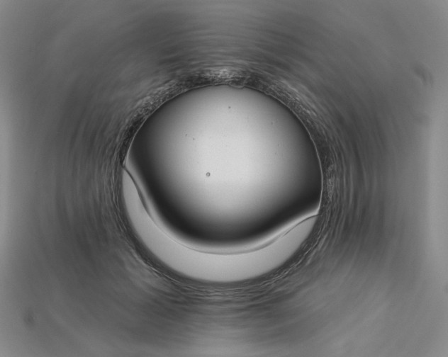 X0000115250605200911131726