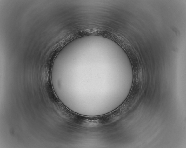 X0000115250606200911131726