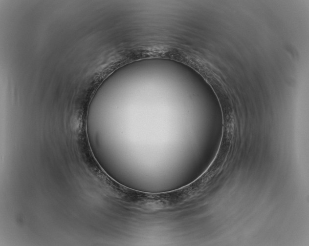 X0000115250608200911131726