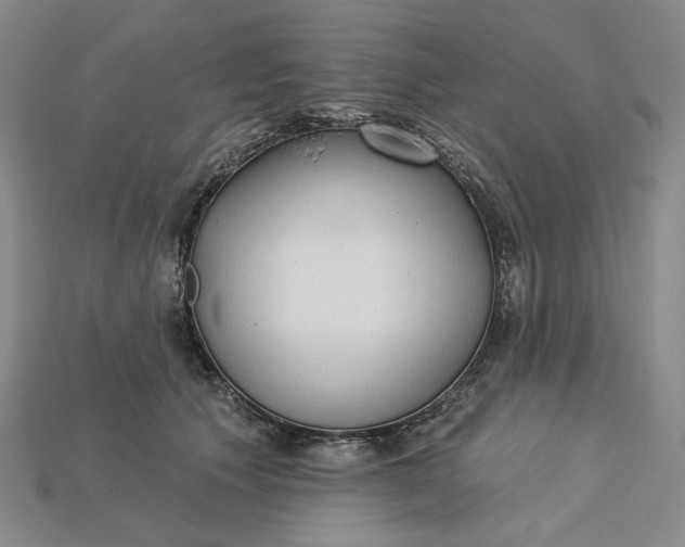 X0000115250609200911131726