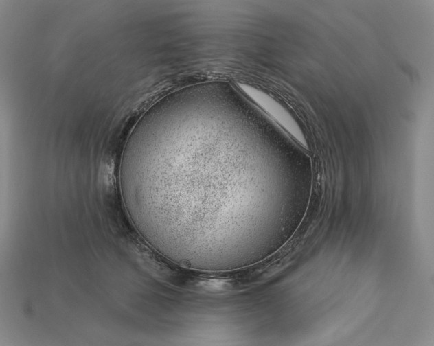 X0000115250610200911131726