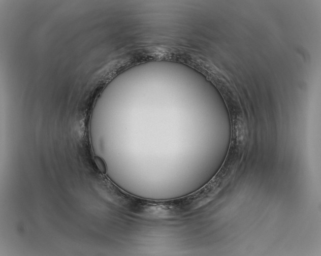 X0000115250611200911131726