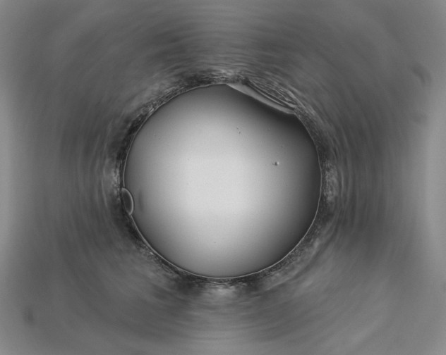 X0000115250613200911131726