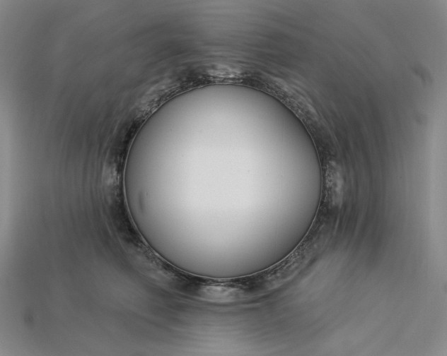 X0000115250614200911131726