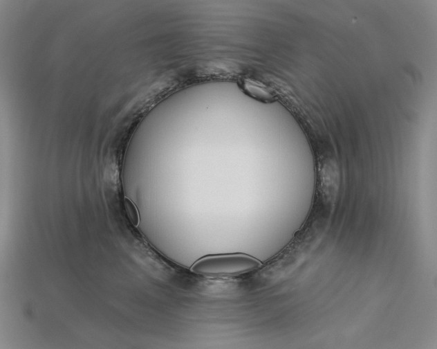 X0000115250617200911131726