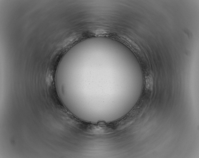 X0000115250618200911131726