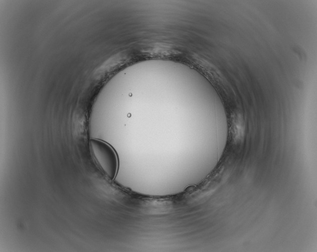 X0000115250619200911131726