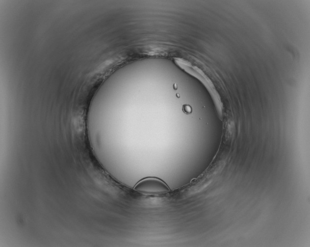 X0000115250620200911131726