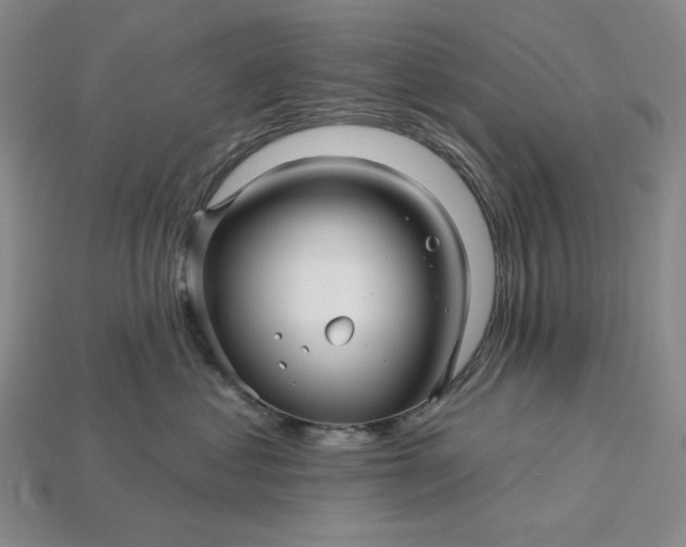 X0000115250621200911131726