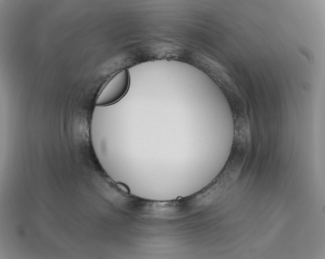 X0000115250622200911131726