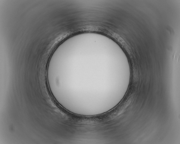 X0000115250625200911131725