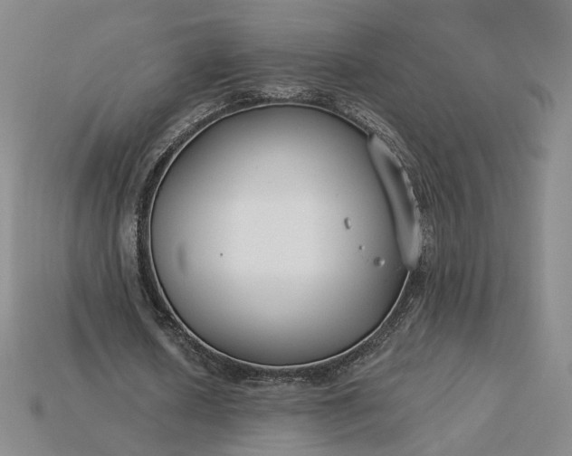 X0000115250626200911131725