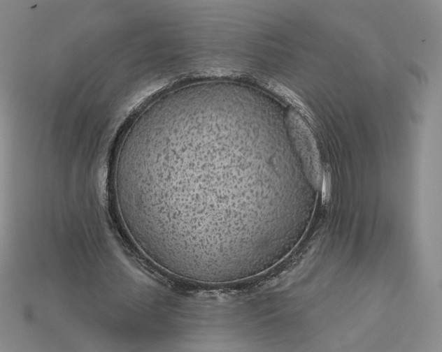 X0000115250627200911131725