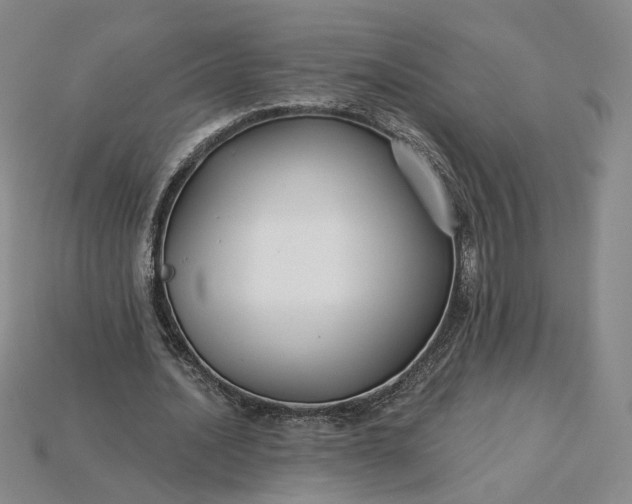 X0000115250628200911131725