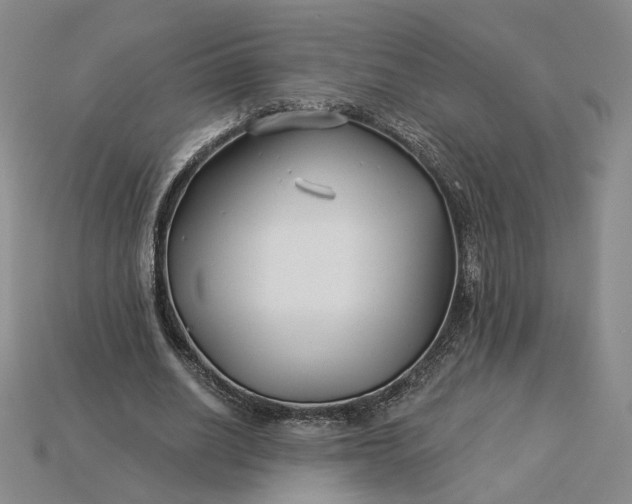 X0000115250630200911131725