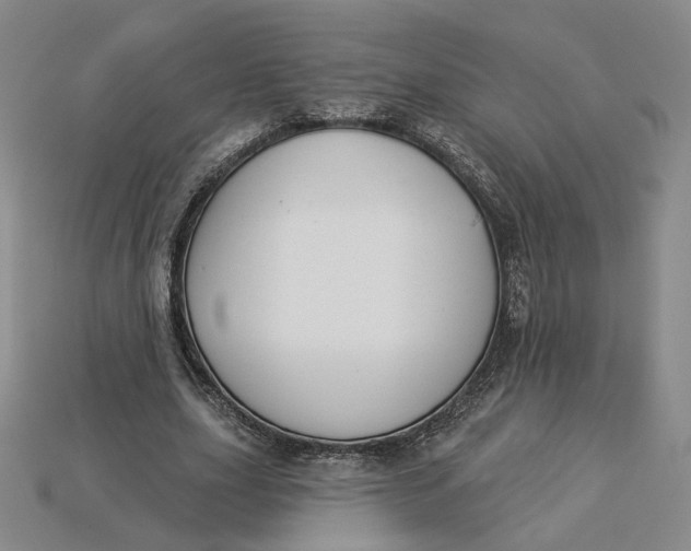 X0000115250631200911131725