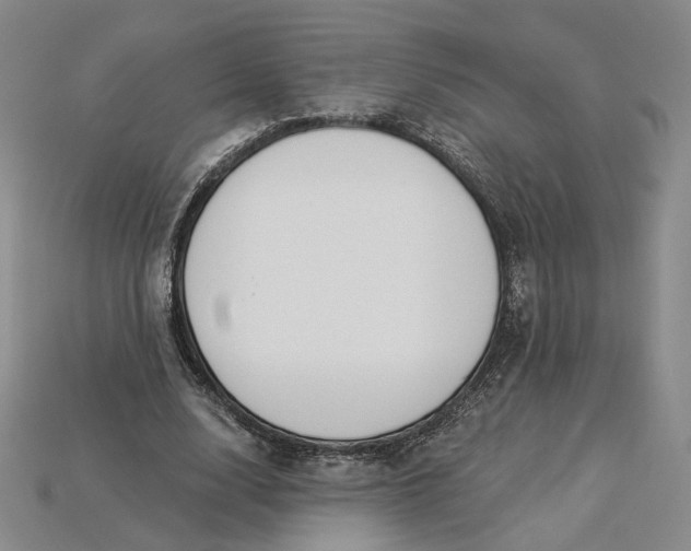 X0000115250632200911131725