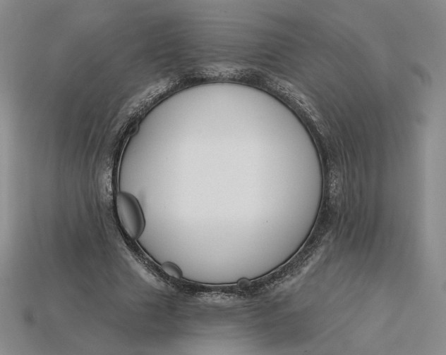 X0000115250633200911131725