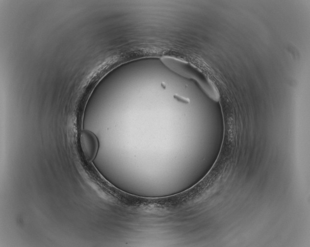 X0000115250634200911131725