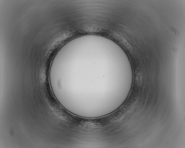 X0000115250635200911131725