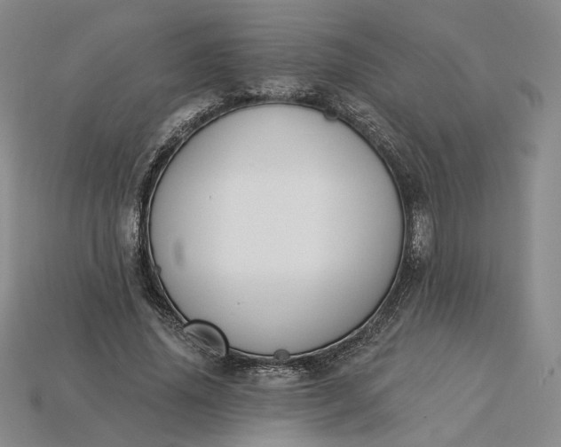 X0000115250636200911131725