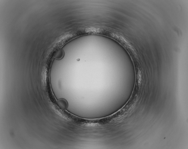 X0000115250637200911131725