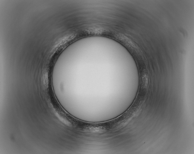 X0000115250638200911131725