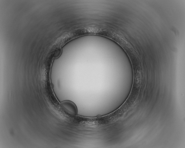 X0000115250639200911131725