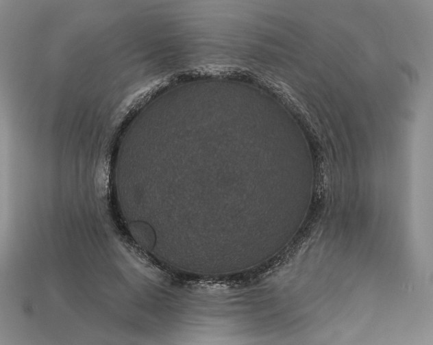 X0000115250640200911131725