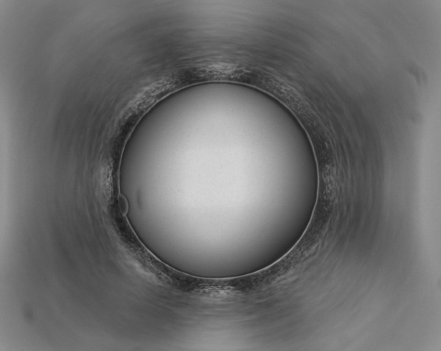 X0000115250642200911131725