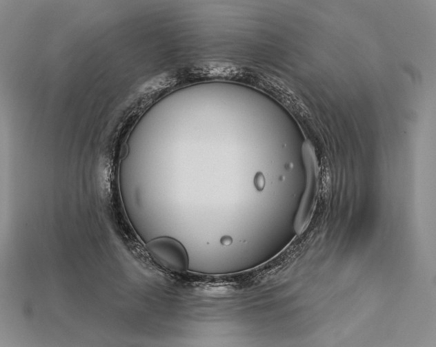 X0000115250643200911131725