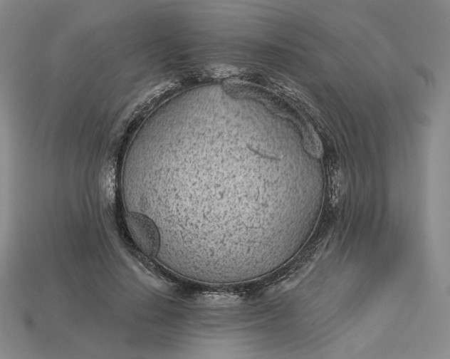 X0000115250644200911131725