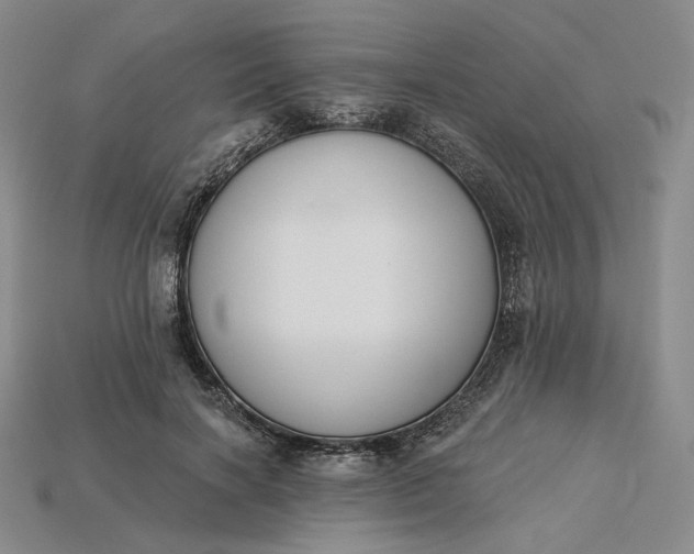 X0000115250646200911131725